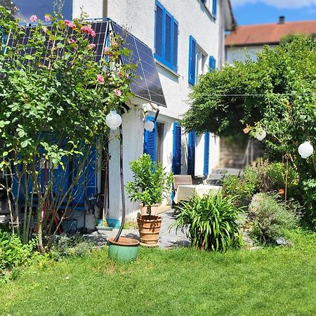 Ferienwohnung Am Bruchwald بيتنهيم بيسنغين المظهر الخارجي الصورة